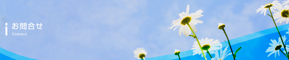 ページタイトル