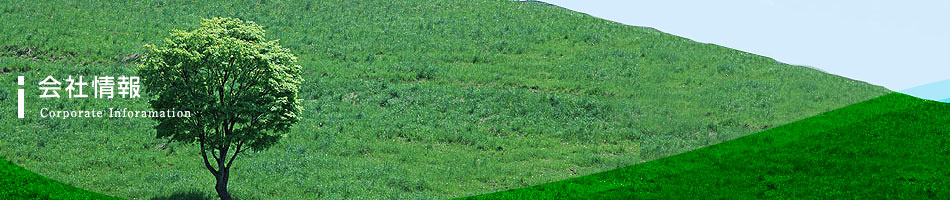 会社情報