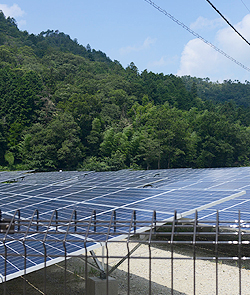 柚津ひまわり発電所イメージ